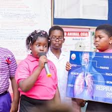 Children at a science fest in school